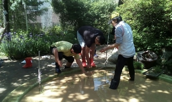 ▲ (1)용일초등학교 도시농업 체험프로젝트