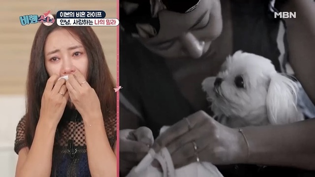 ▲ '비행소녀'에서 배우 이본이 반려견 밀라의 작별 이야기가 꾸려졌다. 방송 캡처