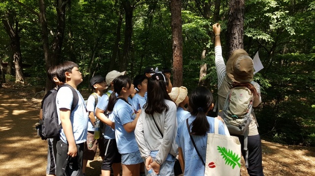 ▲ [사진1]수리초 숲속학교 이야기