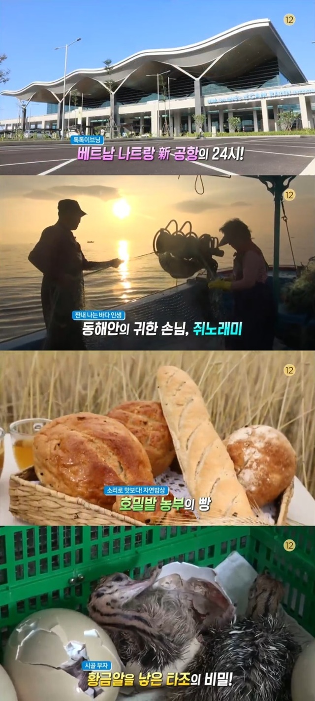▲ '생방송 오늘저녁'에서는 여름철 불청객 초파리를 잡는 꿀팁, 나트랑 공항 24시, 고성 부부의 쥐노래미 사랑, 호밀밭 농부의 빵 등이 소개된다. MBC