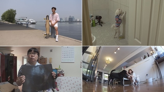 ▲ '세상에 이런일이'에서는 20년 간 바늘 품은 여자, 서서 싸는 강아지, 동물 성대모사 달인, 세계 TOP 롱보더가 전파를 탄다. SBS