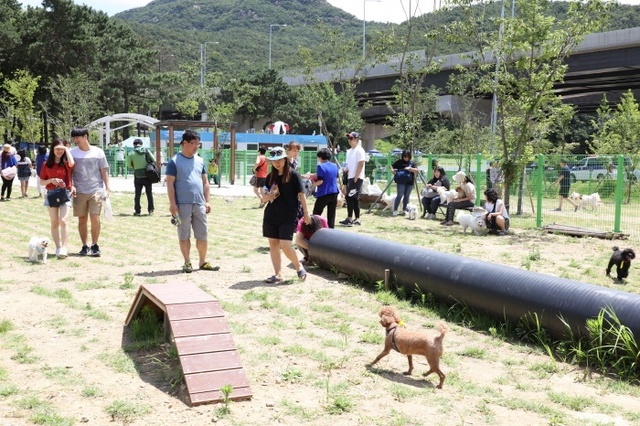 ▲ 삼막애견공원2