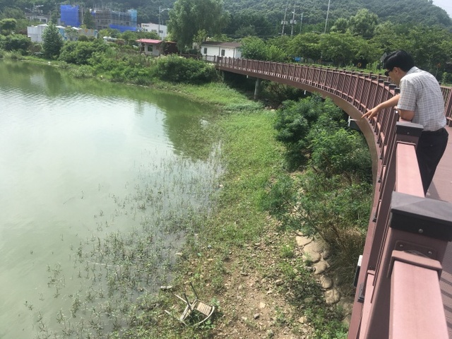 ▲ 군포 대야호수 둘레길을 산책나온 시민이 물에 둥둥떠있는 폐사 물고기와 쓰레기를 바라보고 있다1