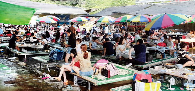 ▲ 본격적인 피서철이 시작된 가운데 경기도내 일부 계곡에서 불법 자릿세 및 바가지 요금이 기승을 부리고 있어 피서객들의 기분을 망치고 있다. 22일 양주시 장흥면의 한 계곡에서 음식점들이 불법으로 평상을 설치한 채 비싼 가격으로 음식을 판매하고 있다. 조태형기자
