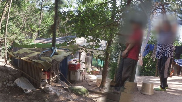 ▲ '궁금한 이야기 Y'에서는 한국 국적을 거부하고 깊은 산 중에서 사는 탈북 남매의 정체를 알아본다. SBS