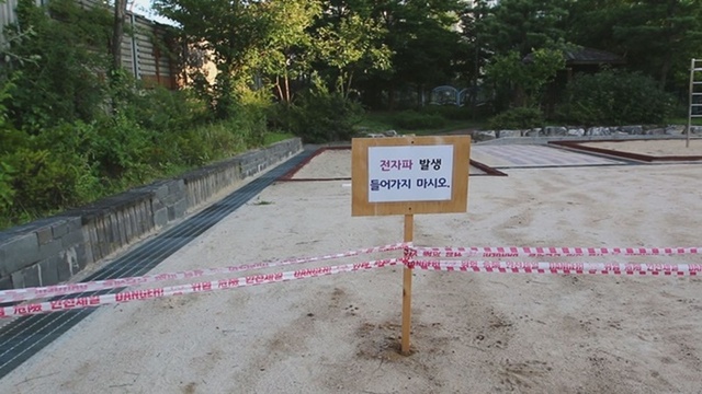 ▲ '제보자들' 초고압선 논란·둘로 갈라진 노량진수산시장. KBS 2TV