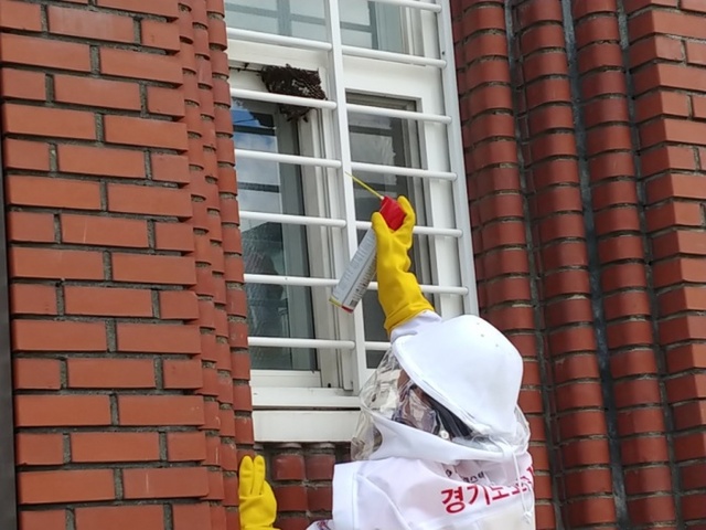 ▲ 과천 소방서 벌집 제거 나서