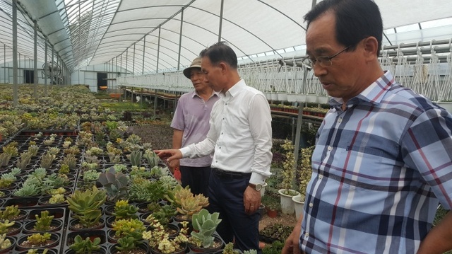 ▲ 과천농협 봉사활동
