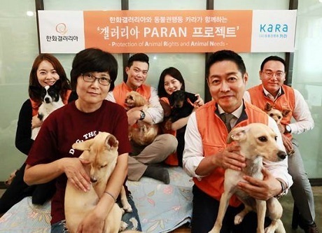 ▲ 한화갤러리아는 신규 사회공헌 프로그램 ‘갤러리아 PARAN(Protection of Animal Rights and Animal Needs) 프로젝트’를 전개한다고 9일 밝혔다. 갤러리아는 국내 동물보호단체 4곳(▲동물권행동 카라 ▲동물권단체 케어 ▲서울동물학대방지 연합 ▲용인시동물보호협회)과 지난 8월6일부터 순차적으로 협약을 맺고, 사회적 도움 손길이 적은 반려동물문화의 사각지대를 찾아 나눔을 실천한다. (사진설명. 사진앞줄 왼쪽 동물권행동 카라 전진경 상임이사, 오른쪽 한화갤러리아 김영훈 기획실장) 사진/한화갤러리아