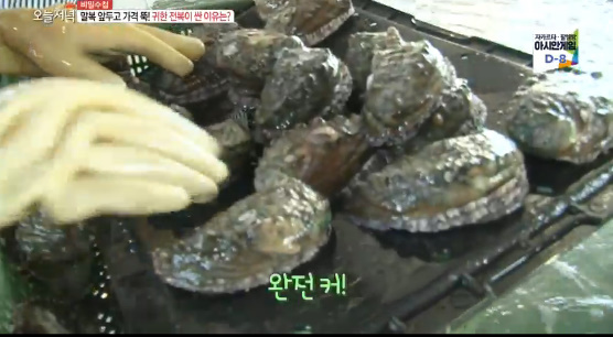 ▲ MBC '생방송 오늘저녁' 방송 캡처. MBC