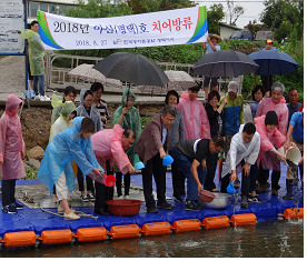 ▲ 농어촌공사 평택지사 치어류 방류,jpg