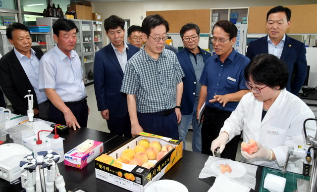 ▲ 5일 이재명 경기도지사가 건강과일 공급간담회에서 농업인 등과 이야기하고 있다