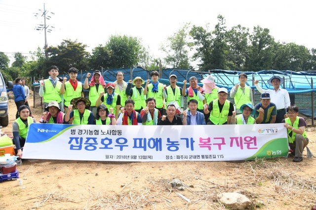 ▲ (사진 2) 노사합동 일손돕기