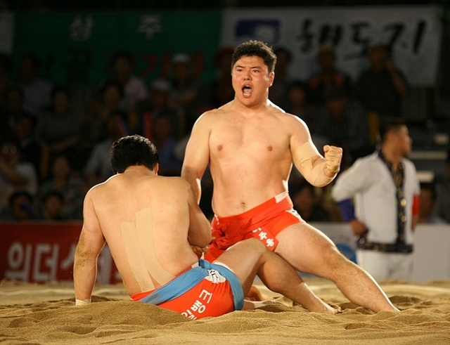▲ 5일간 이어지는 추석 황금연휴 기간 국내외에서 풍성한 스포츠 이벤트가 이어져 스포츠 팬들을 즐겁게 할 전망이다. 사진은 명절 단골 이벤트인 장사씨름대회 모습.경기일보 DB