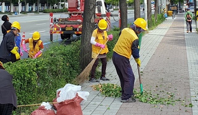 2일 오전 인천 계양구 서부간선로 일대에서 지자체 공공근로자로 구성된 수거 전담반 요원들이 인도에 떨어진 은행열매를 쓸어담고 있다. 사진=조주현 기자