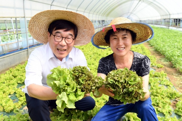 ▲ 제1회 자연채 행복 밥상 문화축제 (3)