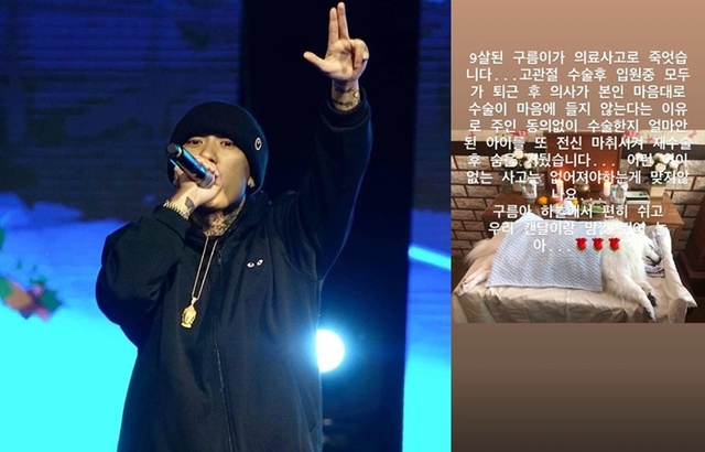 ▲ 래퍼 도끼가 반려견 의료사고로 사망한 사실을 언급했다. 도끼 인스타그램