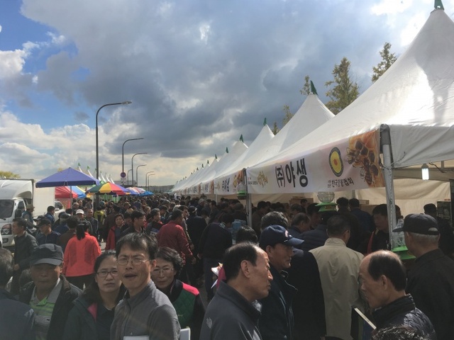 ▲ 제43차 전국 양봉인의 날 행사