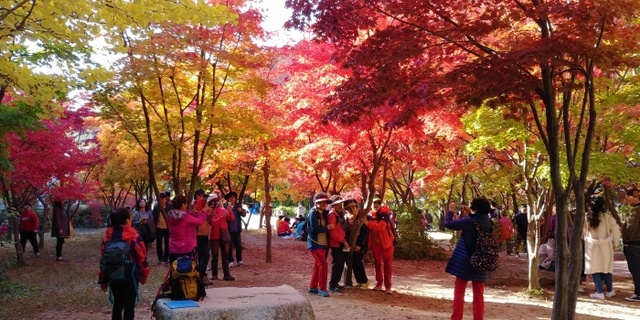▲ 1-1“단풍 시즌, 어디로 가세요” 소요산, ‘제33회 소요단풍문화제’개최