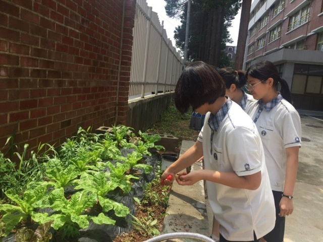 ▲ 송원중 사진1_꿈길텃밭