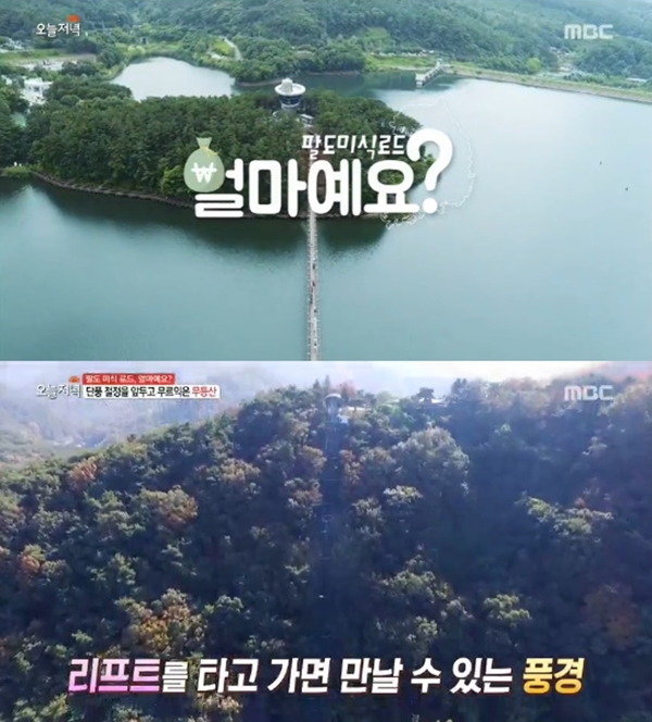 ▲ MBC '생방송 오늘저녁' 방송 캡처. MBC
