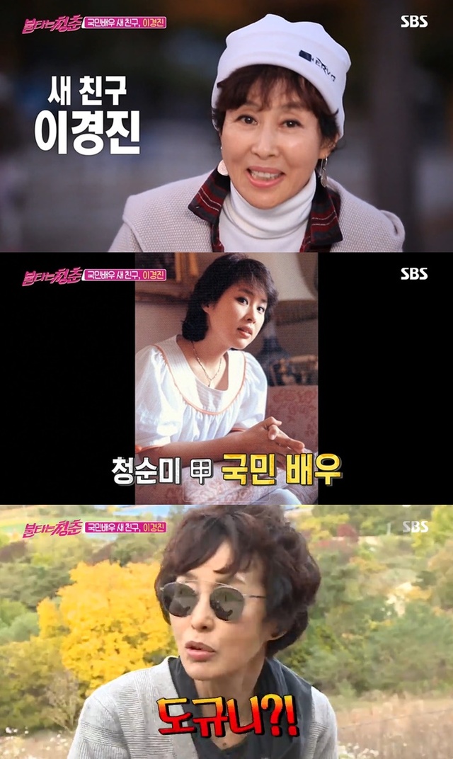 ▲ '불타는 청춘' 새친구로 배우 이경진이 등장했다. 방송 캡처