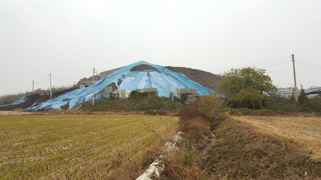 ▲ 비료제조업체인 A사에 산더미처럼 쌓여있는 축산분뇨.