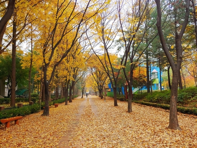 궁내동 문화의거리