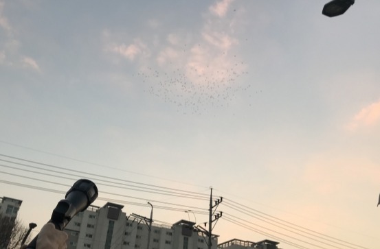 떼까마귀 순찰반이 퇴치기를 이용해 떼까마귀를 쫓고 있다. 수원시 제공