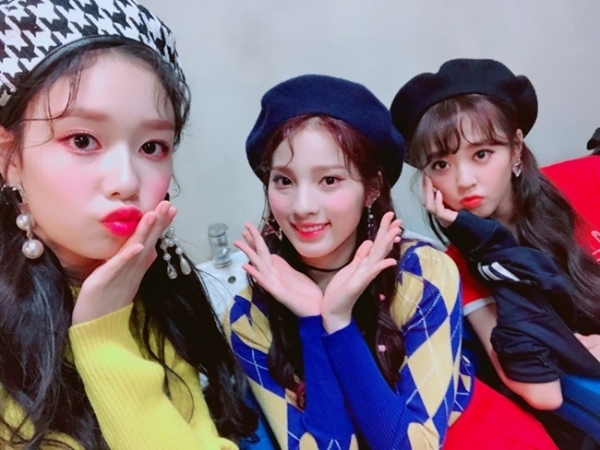 파나틱스 유닛 플레이버. 에프이엔티