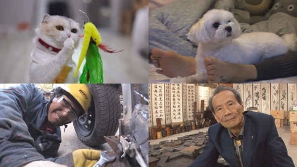 '순간포착 세상에 이런 일이'에서는 나갈래옹 고양이, 발바닥 집착 견공, 자작 농기계 꾼, 벼루를 사랑한 남자 이야기가 방송된다. SBS