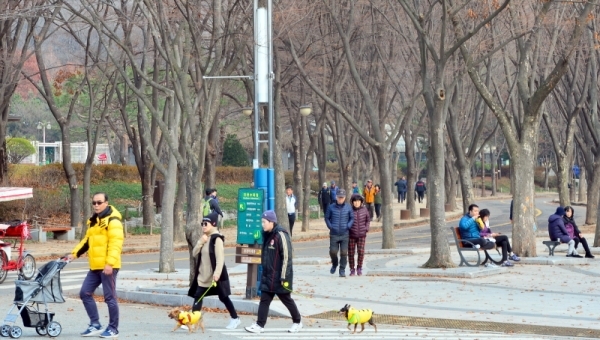 추위가 풀린 뒤 초미세먼지가 ‘나쁨’ 수준을 보인 25일 휴일을 맞아 인천대공원을 찾은 시민들이 공원 연못에서 놀고 있는 오리 등을 보며 늦가을 정취를 만끽하고 있다. 조주현기자