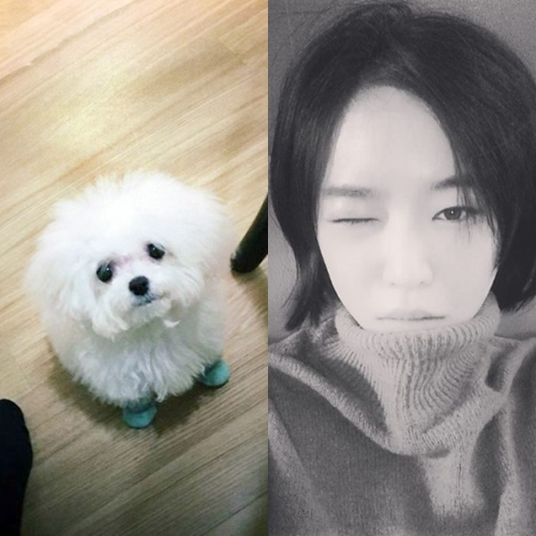 가인이 반려견의 사진을 공개하며 팬들의 시선을 끌었다. 가인 인스타그램