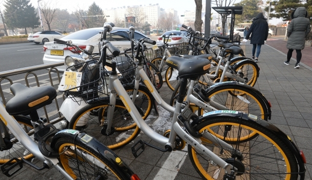 수원시 공유자전거 ‘오바이크(oBike)’의 모습. 경기일보 DB