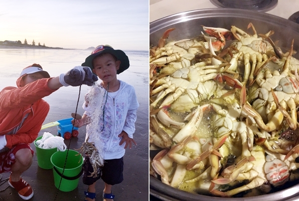 뉴질랜드 바닷가 꽃게잡이는 언제든 즐길 수 있는 즐거운 놀이. 식탁까지 풍성하게 해주니 1석2조.