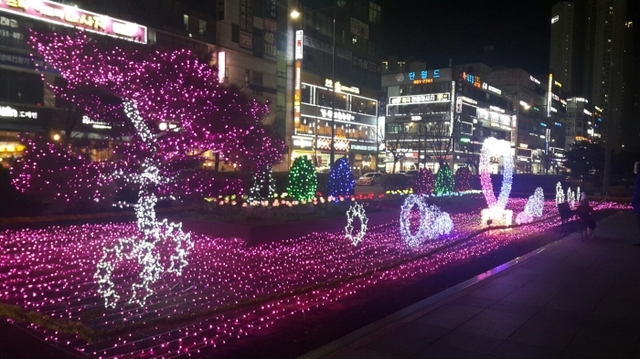 ▲ 안산 빛의 향연
