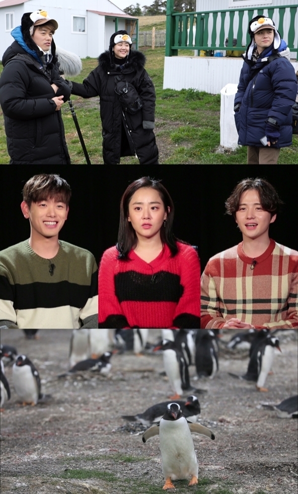 KBS 2TV '은밀하고 위대한 동물의 사생활' 녹화 방송 캡처. KBS