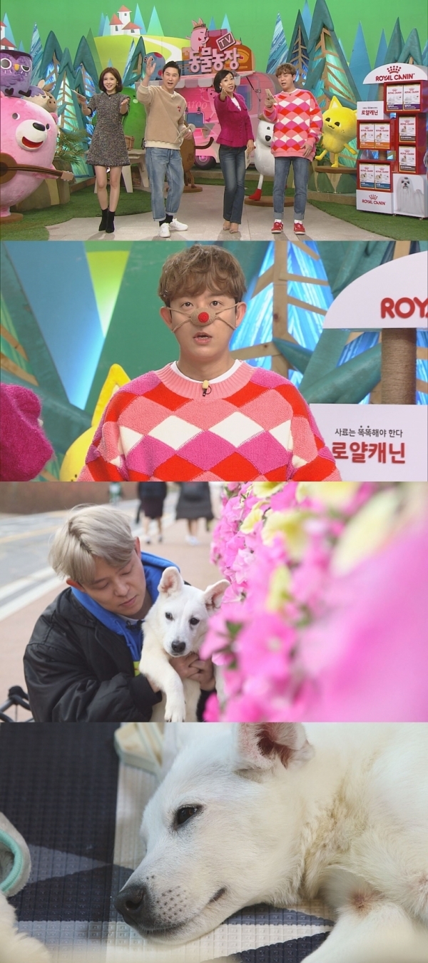 'TV 동물농장' MC이자 개 아범 토니안이 희귀질안 유기견 '서탄이'의 새로운 가족을 찾아나섰다. SBS
