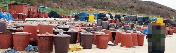 ▲ 인천 옹진군 백령도에 까나리액젓 찌꺼기가 담겨있는 용기가 방치돼 있다.