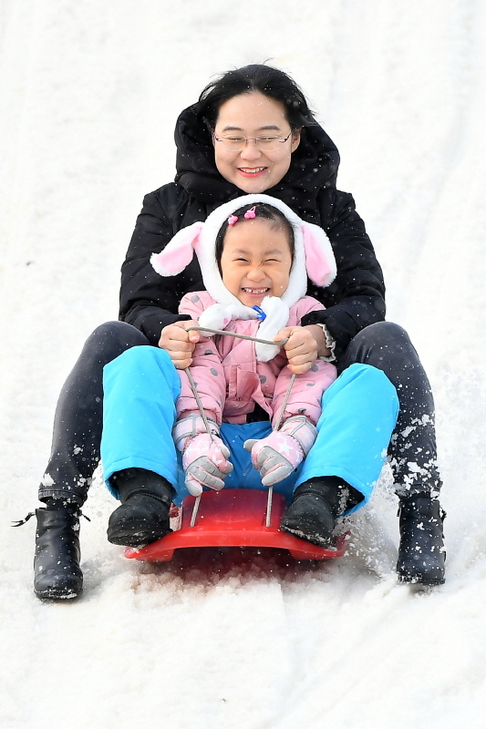 크리스마스인 25일 과천 서울랜드에서 시민들이 눈썰매를 타며 즐거운 시간을 보내고 있다. 조태형기자