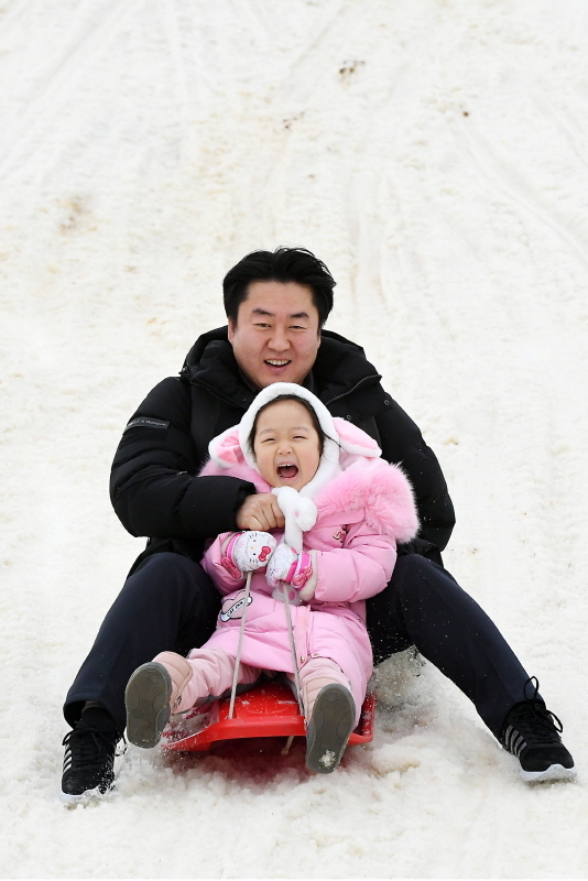 크리스마스인 25일 과천 서울랜드에서 시민들이 눈썰매를 타며 즐거운 시간을 보내고 있다. 조태형기자