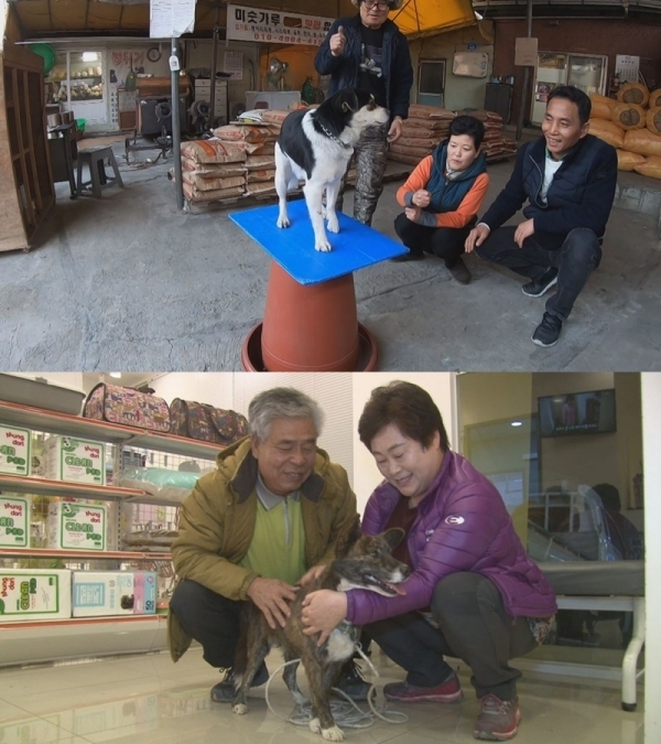 '순간포착 세상에 이런일이'에서는 다시 보고 싶은 동물들, 업그레이드 황금손 등 다시보고 싶은 출연자들의 이야기가 소개된다. SBS