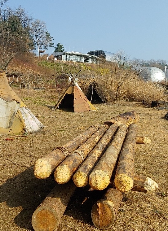 ▲ 뗏목 복원