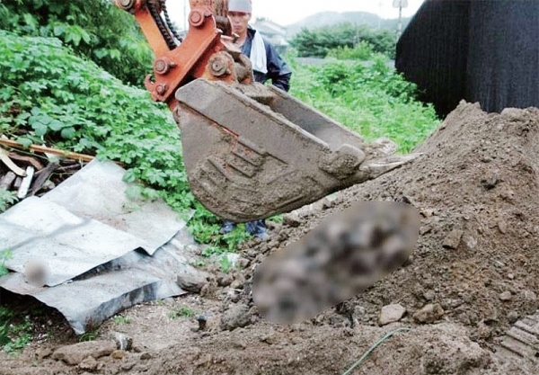 구조한 동물을 몰래 안락사시킨 사실이 드러나 논란을 빚는 ‘동물권단체 케어’의 박소연 대표가 케어의 전신인 ‘동물사랑실천협회’(동사실) 시절에도 무분별하게 안락사를 진행하며 사체를 암매장했다는 주장이 나왔다. 16일 동물보호 활동가 박희태 씨에 따르면 2011년 6월 포천시 공무원들과 함께 동사실이 운영하던 사설보호소인 포천의 내촌 보호소 안에서 발굴 작업을 하려 했으나 보호소 직원들이 저지해 이후 보호소 입구 인근에서 암매장 의심 장소 1곳을 파본 결과 개로 추정되는 사체 3구가 나왔다고 전했다. 연합뉴스