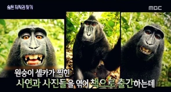 MBC '신비한 TV 서프라이즈' 방송 캡처. MBC