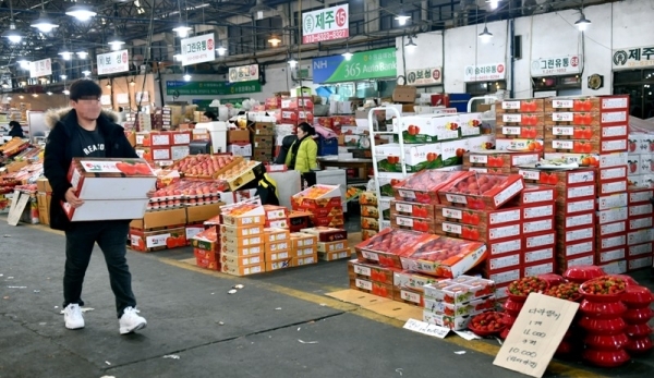 설 명절을 보름 앞둔 20일 수원농수산물도매시장에 벌써부터 산지에서 출하된 사과, 배 등 과일이 손님을 기다리고 있다.전형민기자