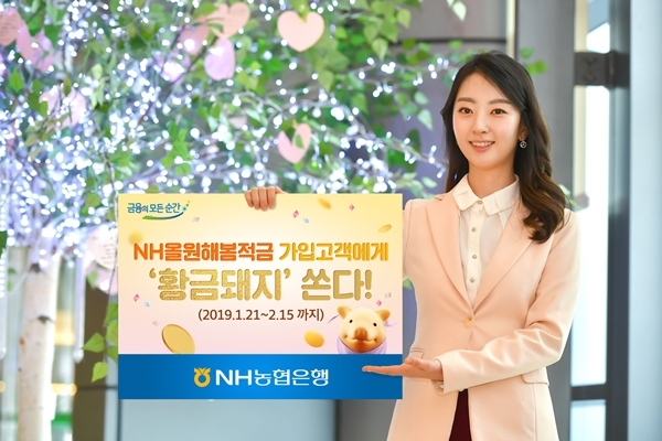 ▲ 190115-NH올원해봄적금-황금돼지-쏜다