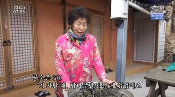 KBS1 '인간극장' 방송 캡처. KBS