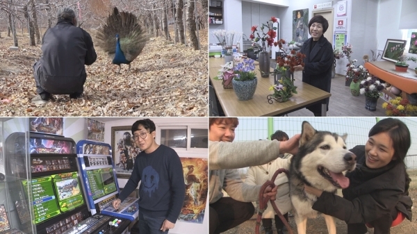 '순간포착 세상에 이런일이'에서는 가출 공작새와 게임 수집가, 머리카락 아트 등의 사연이 소개된다. SBS