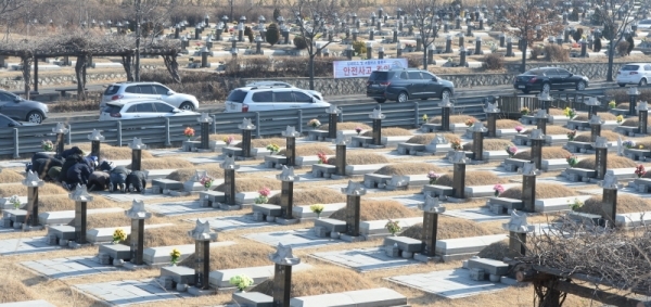 설 연휴를 일주일 앞둔 27일 오전 인천 부평구 인천가족공원에서 성묘객들이 성묘를 하고 있다.조주현기자